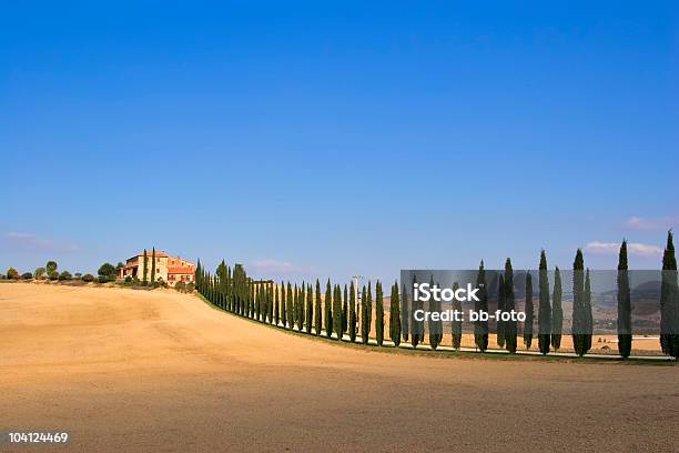 Photo libre de droit de Tuscany Farm banque d'images et plus d'images libres de droit de Arbre - Arbre, Arbre à feuilles persistantes, Automne