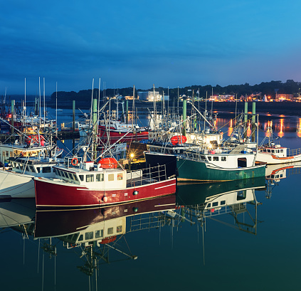 Boats line the Digby wharf in twilight.