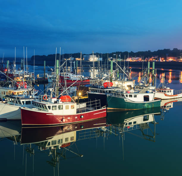 digby fishing wharf - horizontal nova scotia bay of fundy bay imagens e fotografias de stock