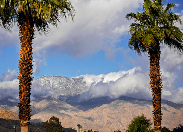 istock Palm trees and mountain range in California 1041250012