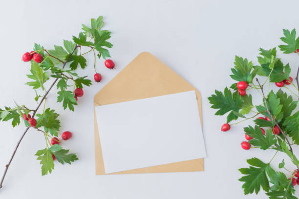 istock Mockup blank paper card and envelope 1041252054