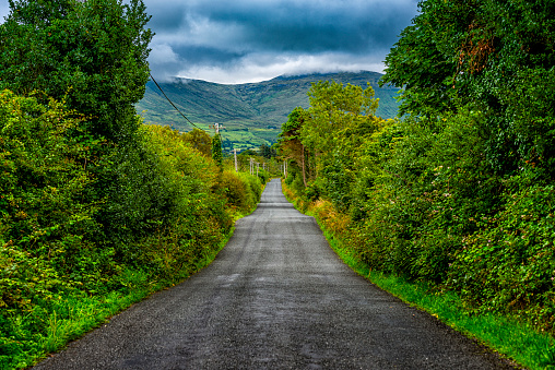typical landscape in Ireland