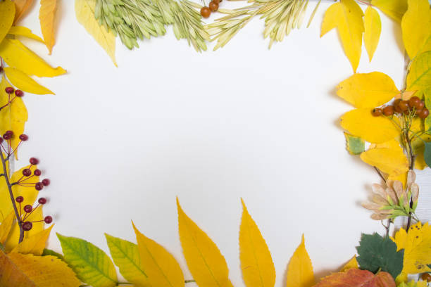 istock frame of autumn leaves on table background 1041263390