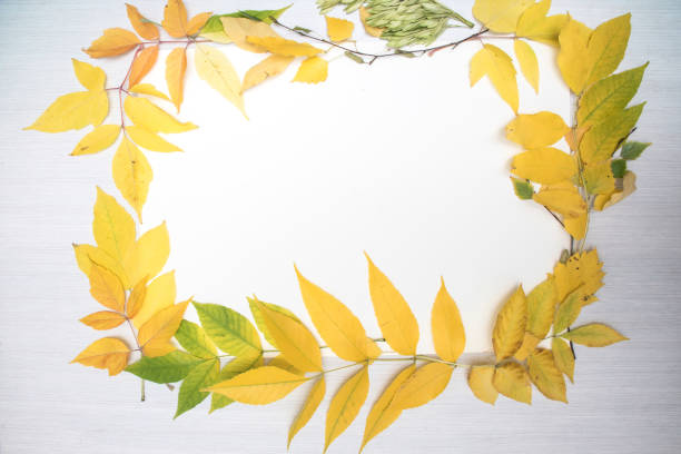 istock frame of autumn leaves on table background 1041263500