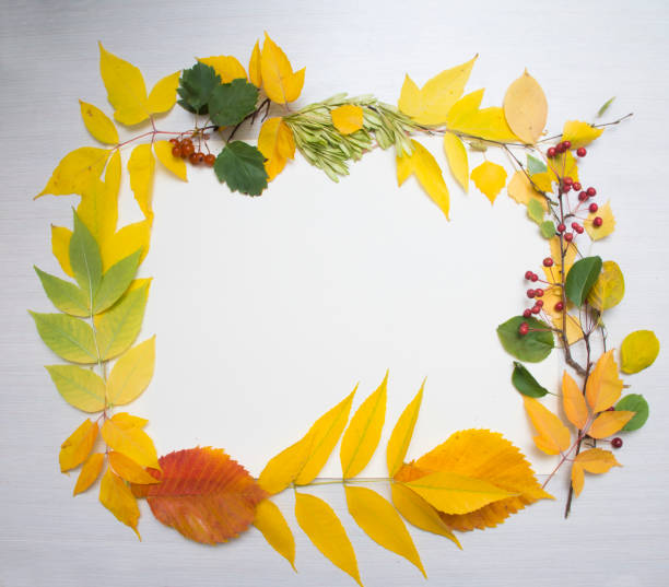 istock frame of autumn leaves on table background 1041263692