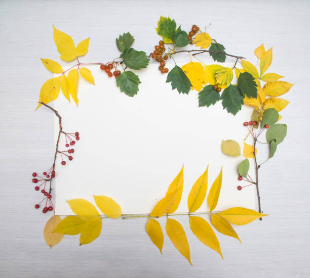 istock frame of autumn leaves on table background 1041263886