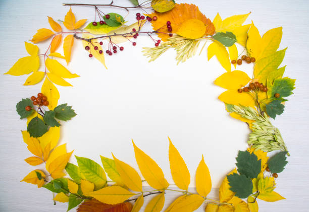 istock frame of autumn leaves on table background 1041264174