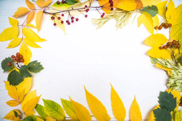 istock frame of autumn leaves on table background 1041264290