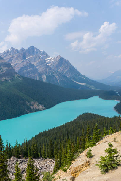 istock Blue glacier lake surrounded by trees with a mountain in the background 1041273684