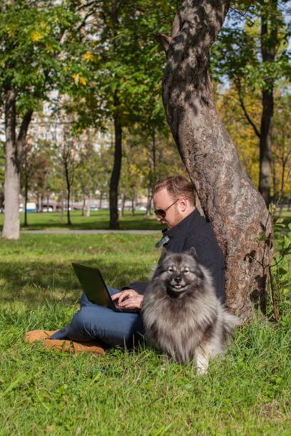 young man with a laptop sits on the grass under a tree in the park at sunny autumn day , the dog is alongside to him stock photo