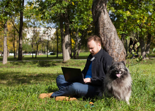 istock Young man with a laptop sits on the grass under a tree in the park 1041278296