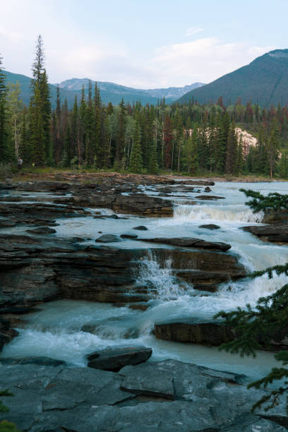 istock Waterfall over rocky cliff with a forest behind it 1041279288