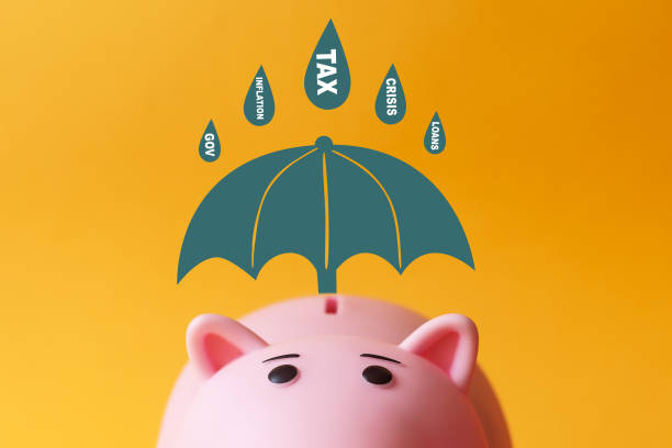 зонтик спасает копилку от дождя рисков - security umbrella rain currency стоковые фото и изображения