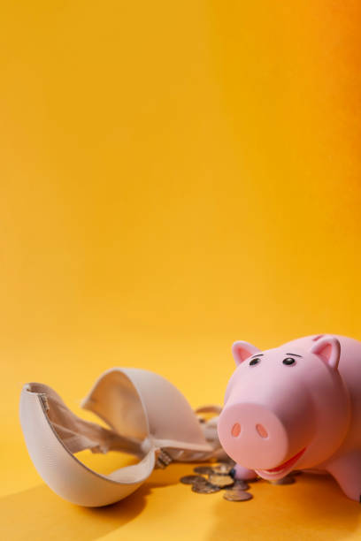 istock piggy banks for adults 1041287414