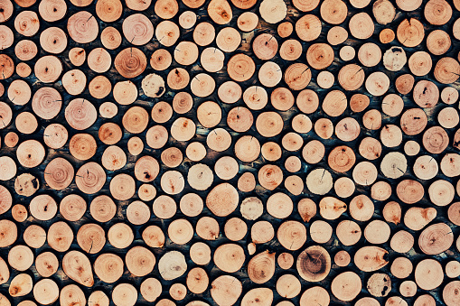 Logs used as decoration on the wall.
