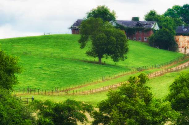 Scenic Landscape View along the Tennesse River