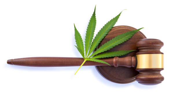 istock Cannabis leaf and gavel on white background 1041314676