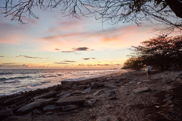 istock Nicaraguan Sunset Surf 1041319778