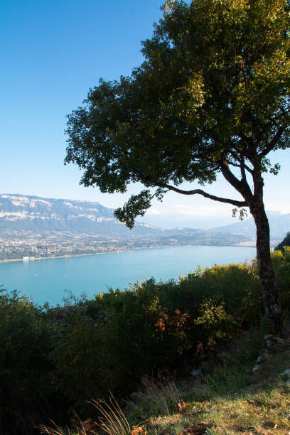 istock Lac du Bourget from the Mont du Chat chapel 1041320054