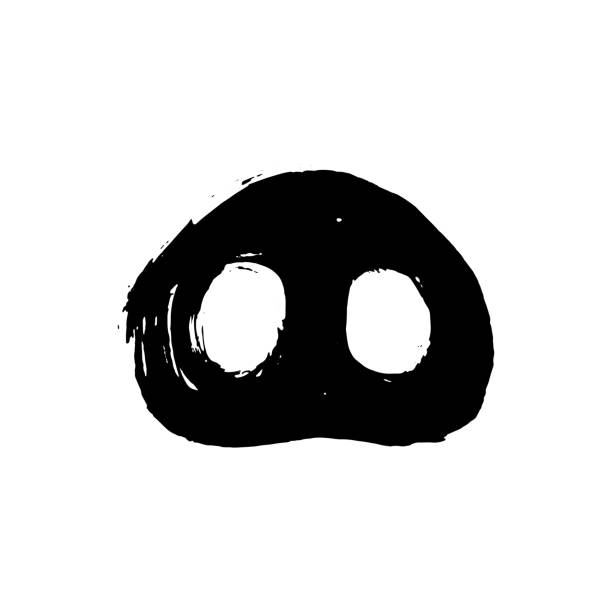 kuvapankkikuvitukset aiheesta vuoden 2019 kiinalaisen sikavuoden symboli. kalenterijuliste musteharja piirretty ulos. käsin kirjoitettu musta sian nenä valkoisella taustalla. hyvää uudenvuodenkorttia tai bannerin suunnitteluelementtiä. - snout