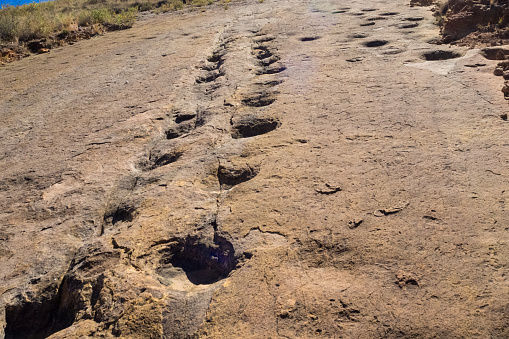 Dinosaur footprint in Toro Toro, Bolivia. Herbivore dinosaur