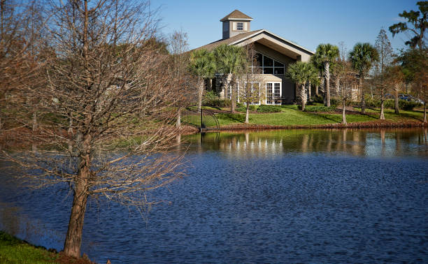 A Windowed Building across the Lake with a Leafless Tree