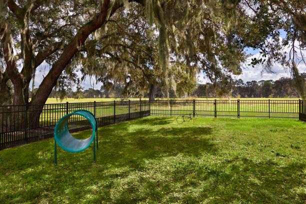 View of a Fenced in Dog Park with Dog Acrobatic Equipment and a Large Tree stock photo
