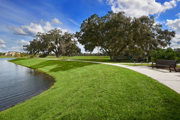 A rippling residential lake or pond has green grass running all around its shore. There's a walkway going around the entire property with a bench in the right most middle part of the shot to sit upon. Two oak trees are spread from each other to provide shade on the walk around the lake. There is a large patch of grass in the distance.