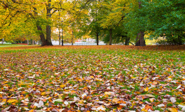 istock Autumn in Gothenburg 1041329274
