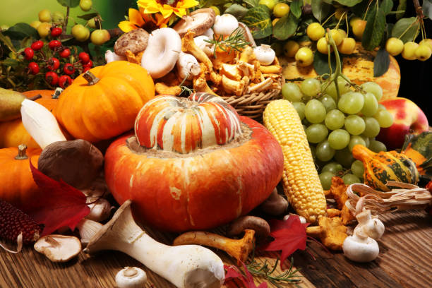 Autumn nature concept. Fall fruit and vegetables on wood. Thanksgiving dinner. Corn and pumpkin with sunflowers and plums