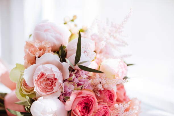 istock Beautiful blossoming flowers. 1041331414
