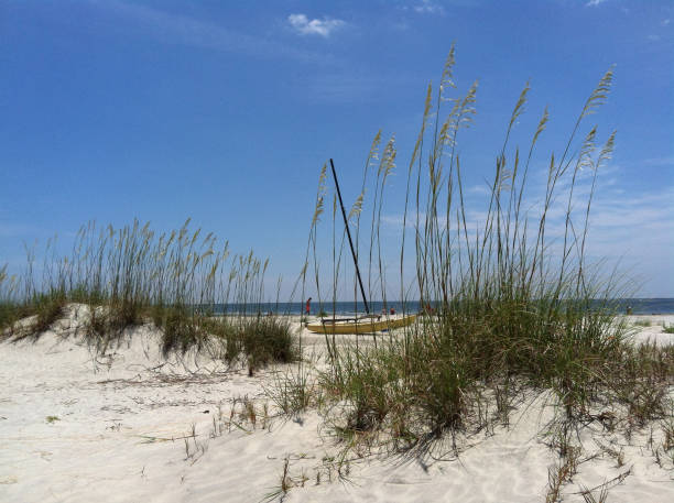 istock Sea Oats in the Dunes with Catamaran 1041333562