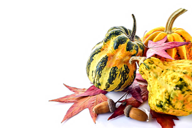 istock Artistic decorative colorful mini pumpkins 1041338364