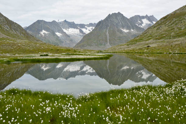 istock Aletschgletsjer switserland 1041338474