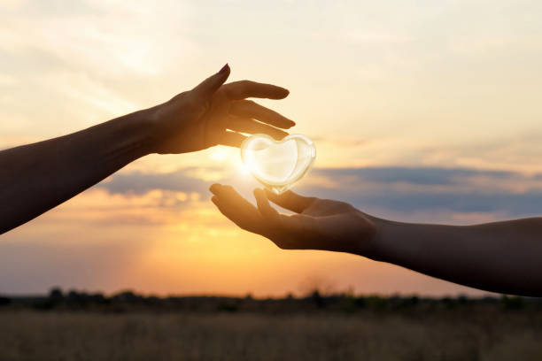 istock Heart in the hands . 1041338582