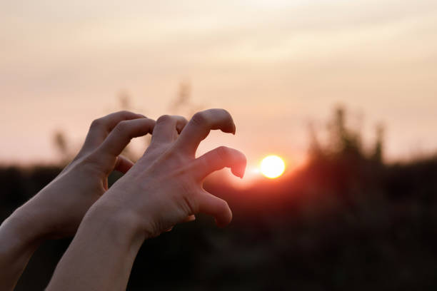 istock Hand gestures of the monster . 1041338600
