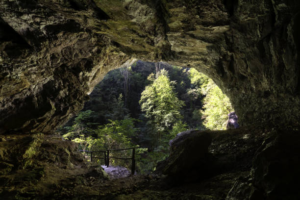 istock Entrance in cave with path which is coming from below forest area 1041338860