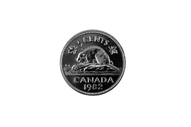 alten kanadischen nickel auf weißem hintergrund - currency us paper currency five dollar bill usa stock-fotos und bilder