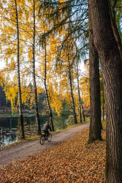 istock Man on a bicycle on the autumn path along the pond 1041360724