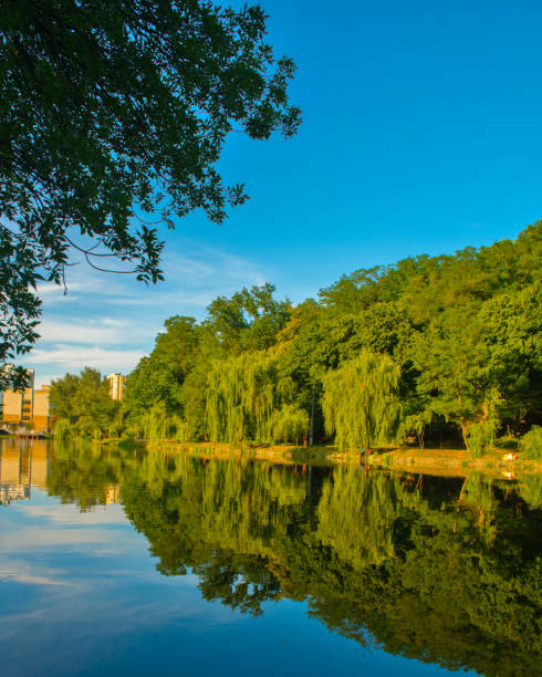istock Beautiful lake at summer. 1041365190