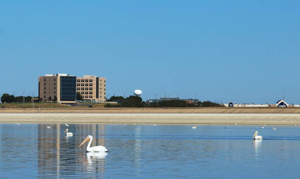 Corpo Di Barr Immagine Foto e Immagini Stock iStock