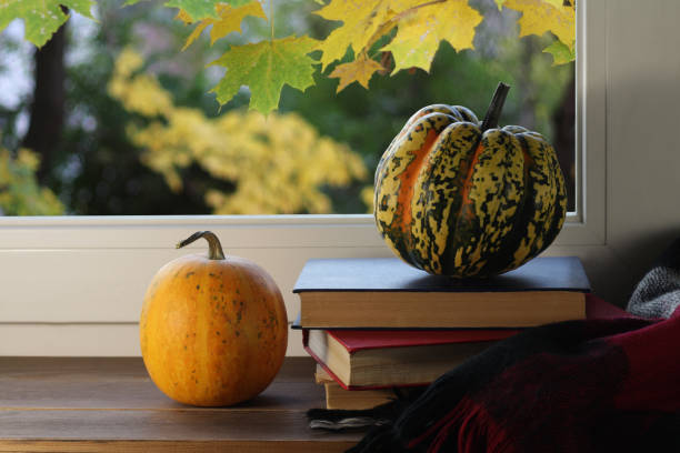 istock Pumpkins on a window sill overlooking the autumn yard 1041373302