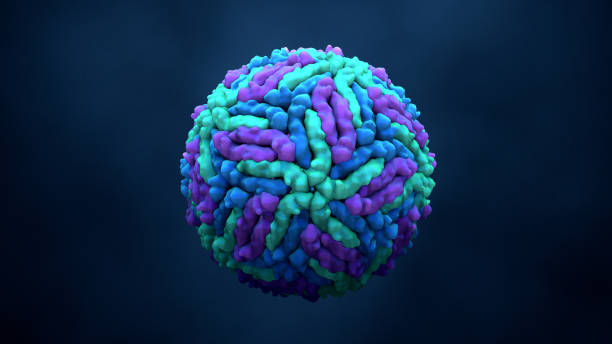 istock Zika Virus or Virus 1041376954
