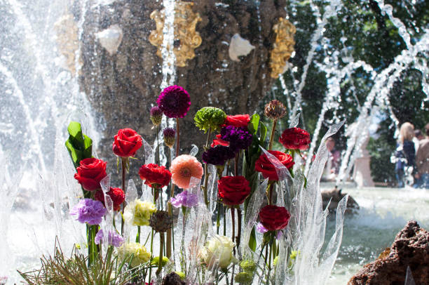 beautiful fountain decorated with flowers in Summer garden of Saint Petersburg, Russia stock photo