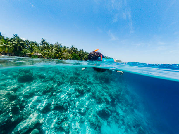 istock Paradisiac sea at Maldives 1041384426