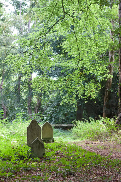 istock Three ancient grave stones in woodland cemetery setting 1041384850
