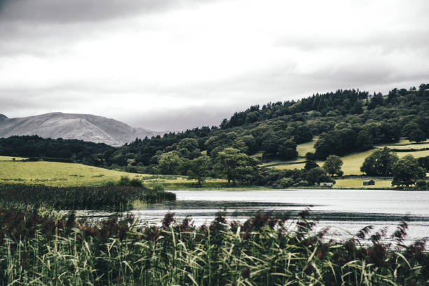 Esthwaite Water is one of the smaller and lesser known lakes in the Lake District