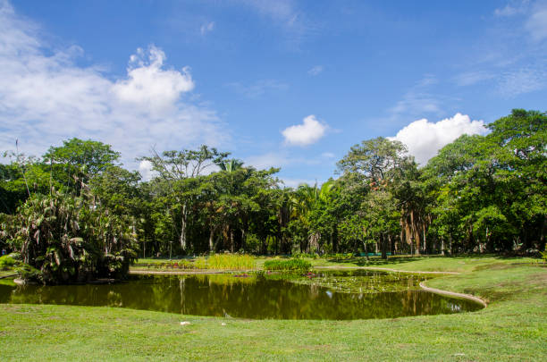 Tropical park at the lake side