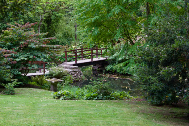 일본 정원 이상의 매력적인 목조 다리 - bridge wood japanese garden footbridge 뉴스 사진 이미지