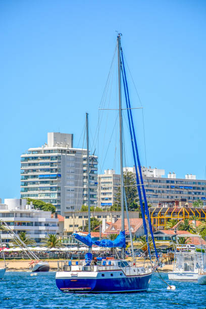 Boats at the marina, Punta del Este, Uruguay Boats at the marina, Punta del Este, Uruguay playas del este stock pictures, royalty-free photos & images